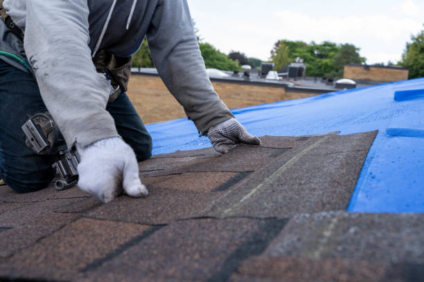 Best Roof Leak Repair  in Seacliff, CA